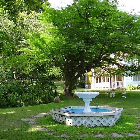 Park Eden Bed & Breakfast Los Llanitos Luaran gambar