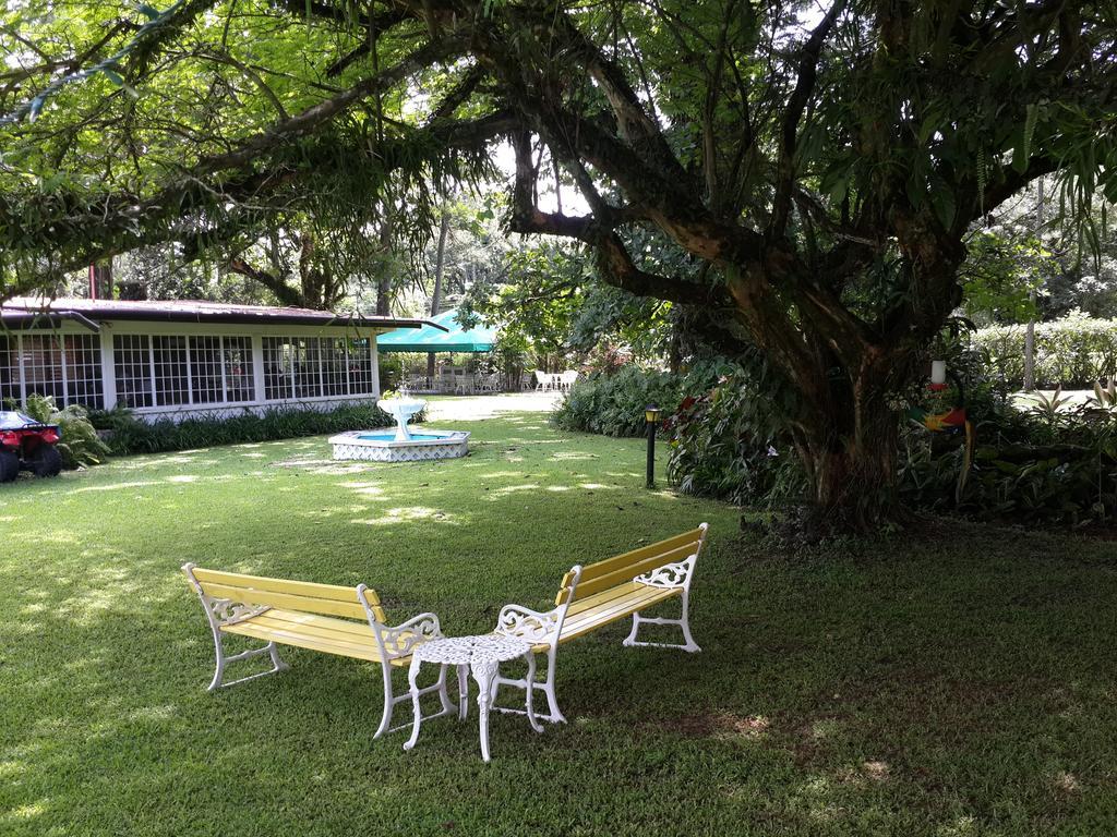 Park Eden Bed & Breakfast Los Llanitos Luaran gambar