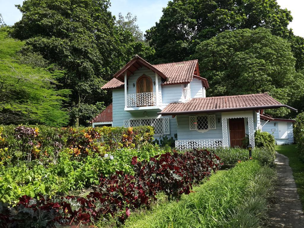 Park Eden Bed & Breakfast Los Llanitos Bilik gambar