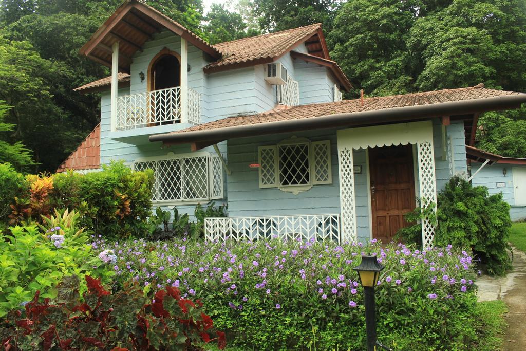 Park Eden Bed & Breakfast Los Llanitos Bilik gambar