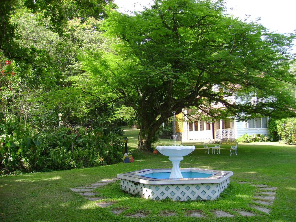 Park Eden Bed & Breakfast Los Llanitos Luaran gambar