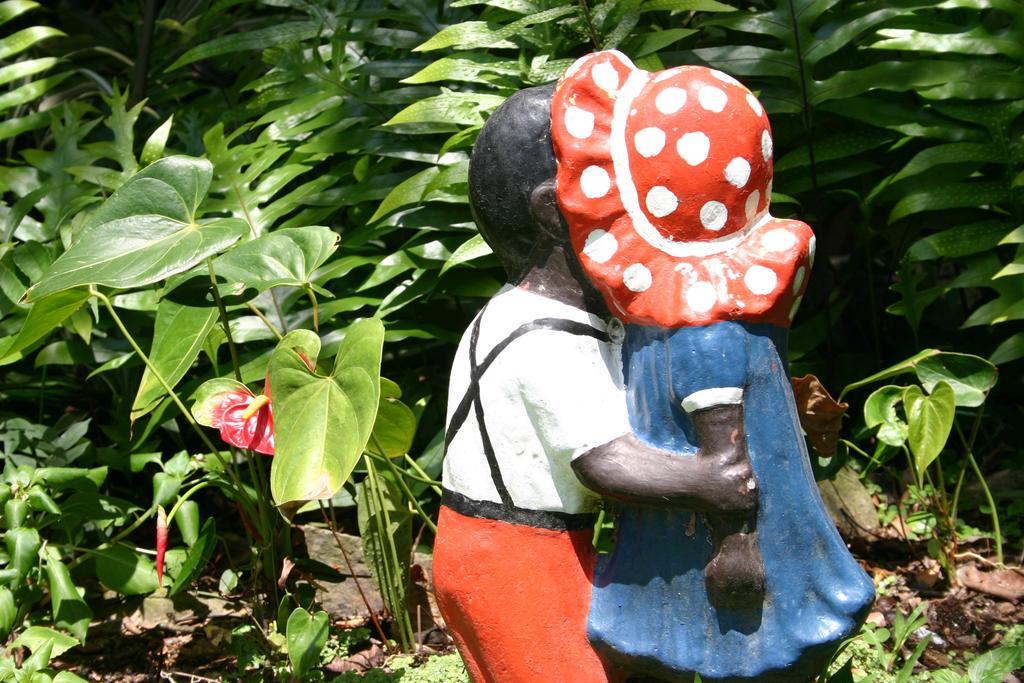 Park Eden Bed & Breakfast Los Llanitos Bilik gambar
